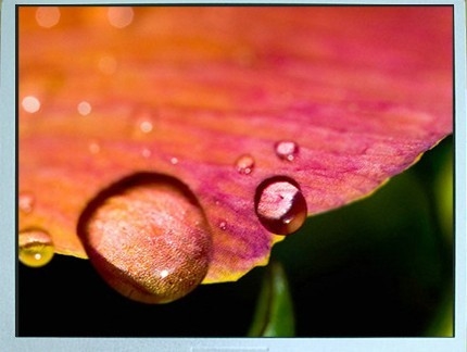 small.img.alt